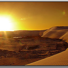 фото "Dunes and Sun"