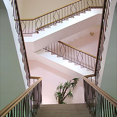 photo "Ladders"