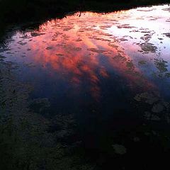 photo "The sun-set has sunk in water..."