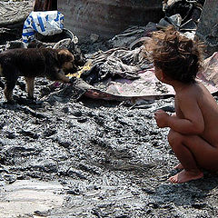 photo "Friends in the mud"