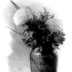 photo "Ikebana - for a special friend"