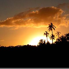 photo "Golden Sunset"