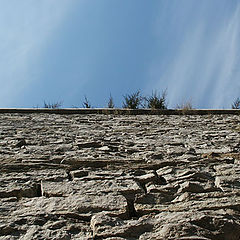 photo "Wall"