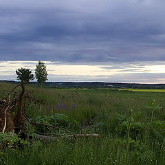 photo "Situated near Moscow evenings-1"