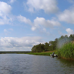 photo "The summer is a small life"