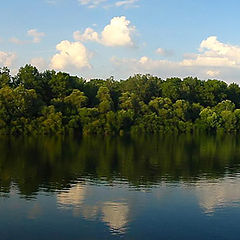 фото "Reflections"