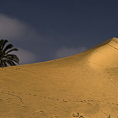 фото "Dunes 3"