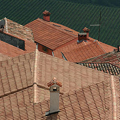photo "The Roofs"