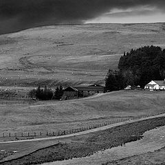 photo "Storm Coming!"