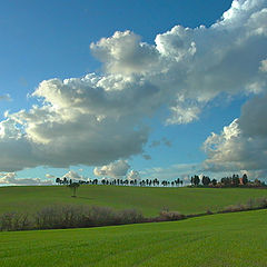 photo "Tuscan countryside"