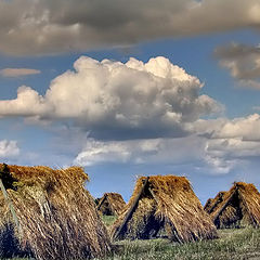 photo "Haymaking"