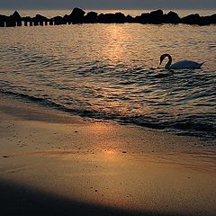 photo "Loneliness..."