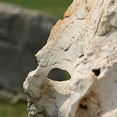 photo "The Stone. Part 1: Venetian Mask"