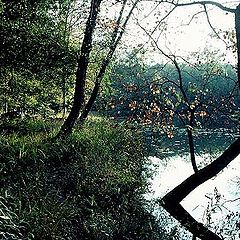 photo "Autumn on South Fork River 1998"