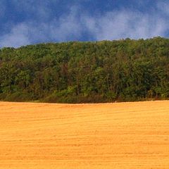 фото "Colourful stripes"