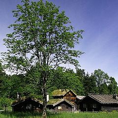 photo "Small Houses"