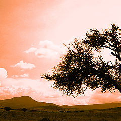 photo "***"