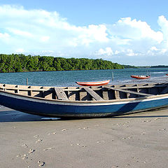 фото "Macapa Beach, Piaui, Brazil"