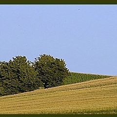 photo "Fields"