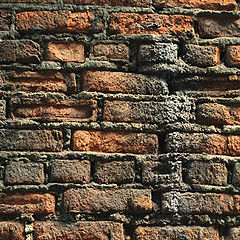 фото "Wall"