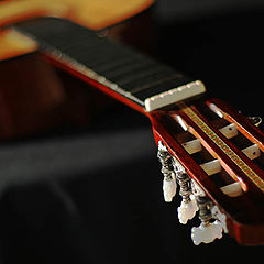 photo "Guitar"