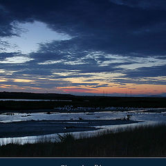 photo "Rhapsody in Blue"