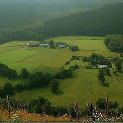 photo "The pasture land 2"