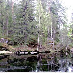 photo "The Karelian landscape..."