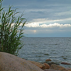 фото "Latvian summer"