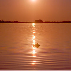 photo "Before sunset gold..."