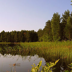 фото "Чистые озёра в Куртна"