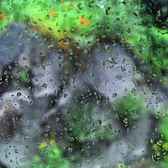 photo "Abstraction in rainy spring day..."