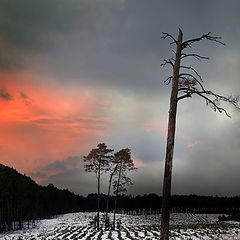 фото "Before rain"