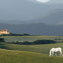 photo "Toscana 2002a"