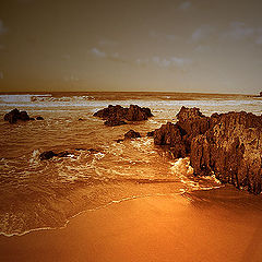 photo "Artista`s Beach"