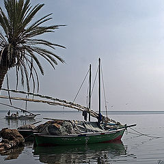 фото "Fishing boats 4"