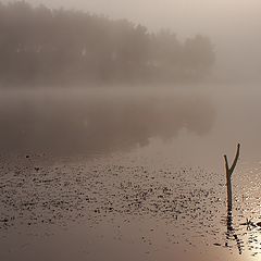 фото "Перед клевом"