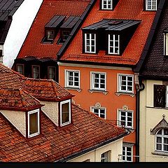 фото "The Roofs & Windows"