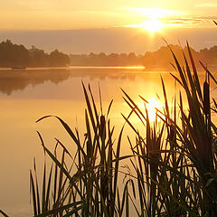 photo "How it is useful to wake up early."