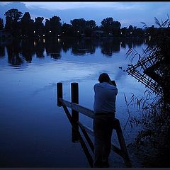 фото "Taking Pictures of Ducks"