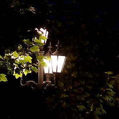 photo "Lantern"