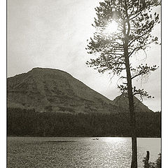 photo "*"