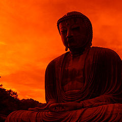 photo "Budda knows..."