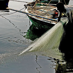 photo "Fishing net"