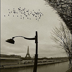 photo "Simply.... About PARIS"