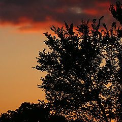 photo "An Arkansas Sunset"