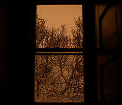 photo "Window 2004"