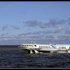 photo "Flying on waves"