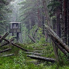 photo "Island Najsaar, Estonia"