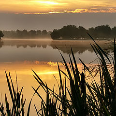 photo "One more early morning."